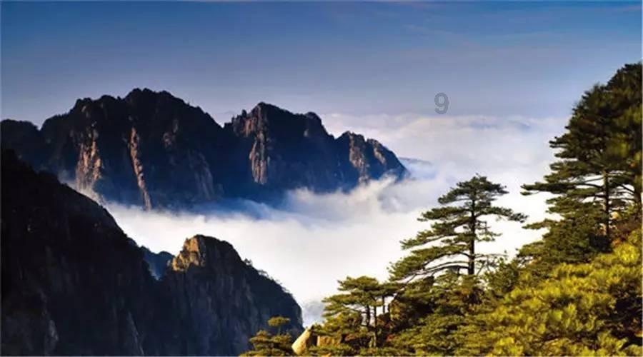 他们打算去公园吗?英语翻译